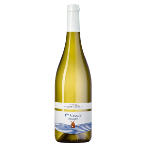 1ère Escale - Muscadet Blanc - Domaine Menard Gaborit