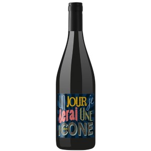 Un Jour Je Serai Une Icone...