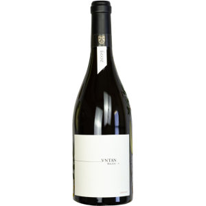Antan Gaillac blanc vin blanc sec de Mauzac élevé en barrique, AOP Gaillac, Occitanie